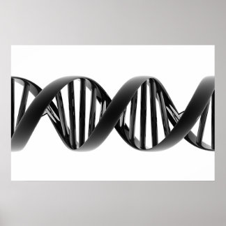 試作品 ポスター