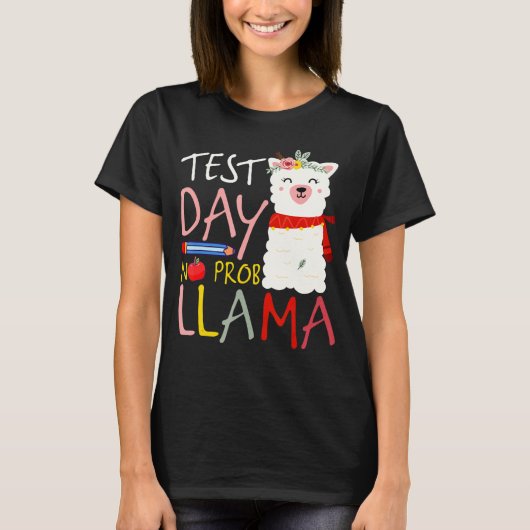 試験日なんの問題もなし！ラマ先生教授ジョーク Tシャツ (正面)