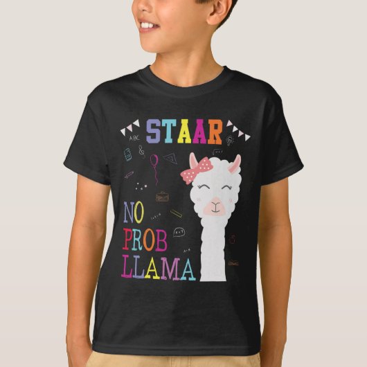 試験日分隊ノプロブラマラマ先生生 Tシャツ (正面)
