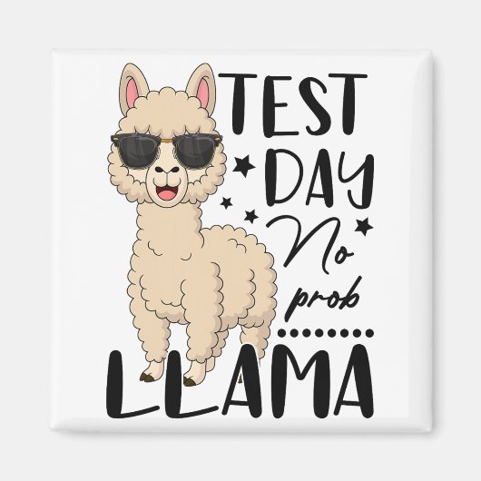試験日No Prob Llama先生受験試験D マグネット (正面)