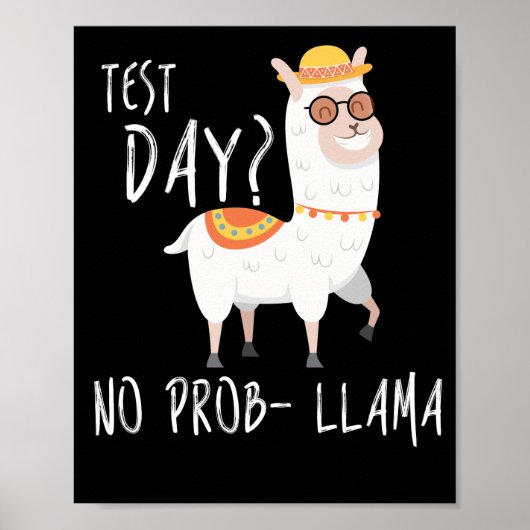 試験日No Prob Llama先生教え試験 ポスター (正面)