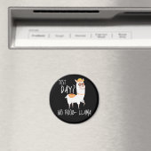 試験日No Prob Llama先生教え試験 マグネット (インサイチュ (食洗機))