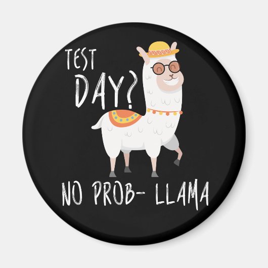 試験日No Prob Llama先生教え試験 マグネット (正面)