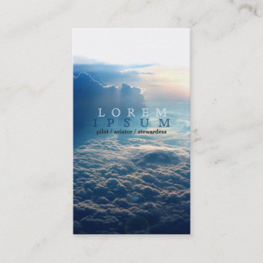 試験飛行士のスチュワーデスの飛行機の空のはえのポスト 名刺 (正面)