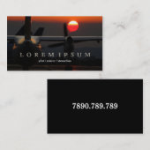 試験飛行士のスチュワーデスの飛行機の空のはえの輸送 名刺 (正面/裏面)