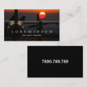 試験飛行士のスチュワーデスの飛行機の空のはえの輸送 名刺 (正面/裏面)