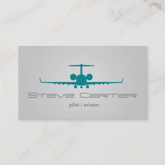 試験飛行士のスチュワーデスの飛行機の空の灰色のはえ 名刺 (正面)