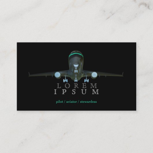 試験飛行士のスチュワーデスの飛行機の空の空気ポストのはえ 名刺 (正面)