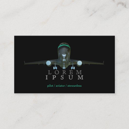 試験飛行士のスチュワーデスの飛行機の空の空気ポストのはえ 名刺 (正面)