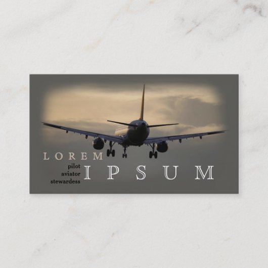 試験飛行士のスチュワーデスの飛行機の空旅行のはえ 名刺 (正面)