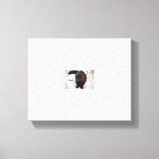 試験 キャンバスプリント