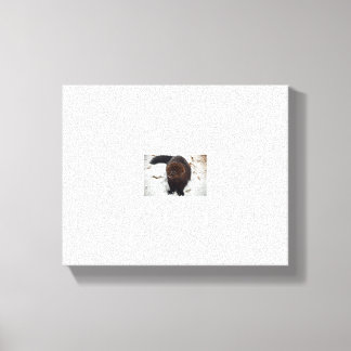 試験 キャンバスプリント