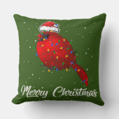 試験 クッション (正面)