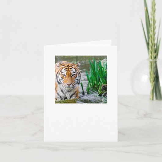 試験 サンキューカード (正面)