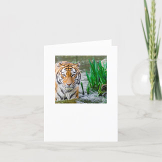 試験 サンキューカード