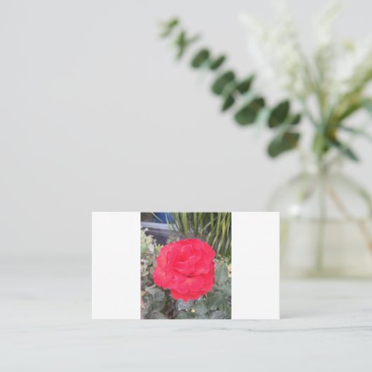 試験 名刺 (スタンド正面)