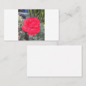 試験 名刺 (正面/裏面)