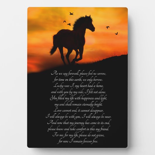 詩を書いた馬の記念碑 フォトプラーク (正面)