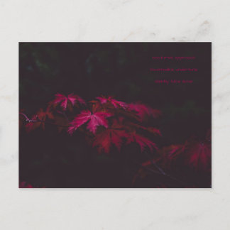 詩カード ポストカード