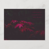 詩カード ポストカード (正面)