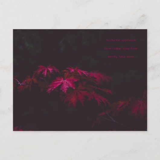 詩カード ポストカード (正面)