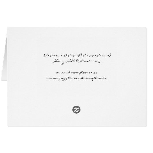 詩人のスイセン(N. 「Actea」) (裏面横)