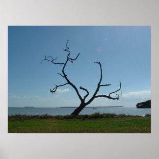 詩人の木 ポスター