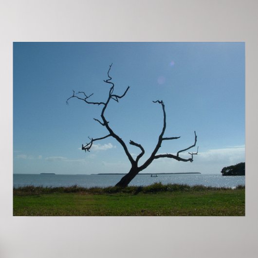 詩人の木 ポスター (正面)