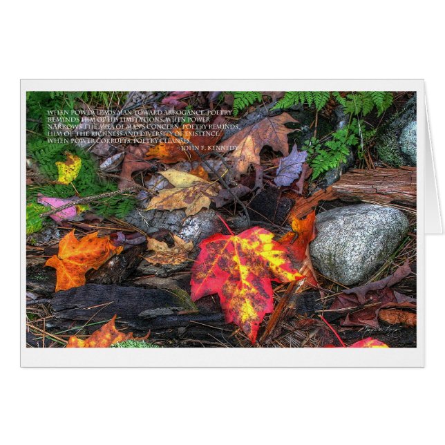 詩歌の力 (正面横)