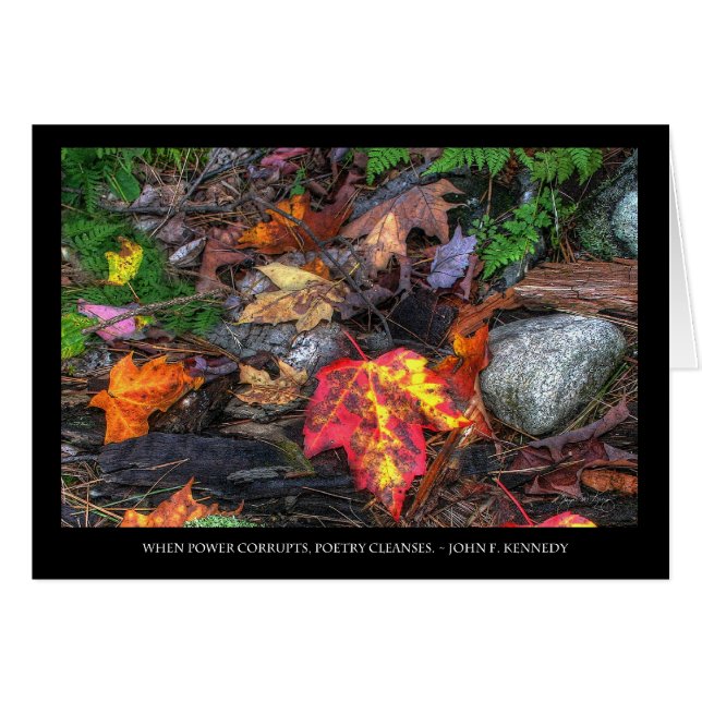 詩歌の力 (正面横)