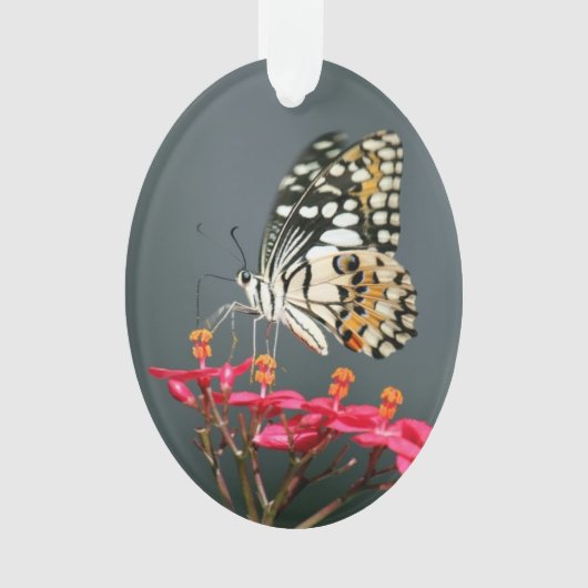 詩歌を"飛びます" オーナメント (正面)