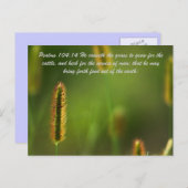 詩篇104:14彼は草を食い草のために育てる ポストカード (正面/裏面)