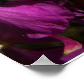 詩篇120:1詩篇勇気付けられる花ポスター ポスター (角)