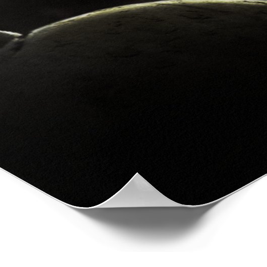 詩篇121:7-8預言者 ポスター (角)