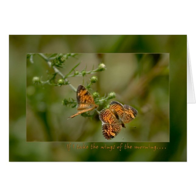 詩篇139:9 -10もし朝の翼の上に立つ (正面横)