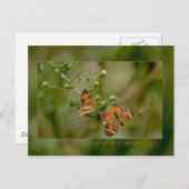 詩篇139:9 -10もし朝の翼の上に立つ ポストカード (正面/裏面)