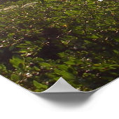 詩篇143:8朝に言っておきなさい ポスター (角)