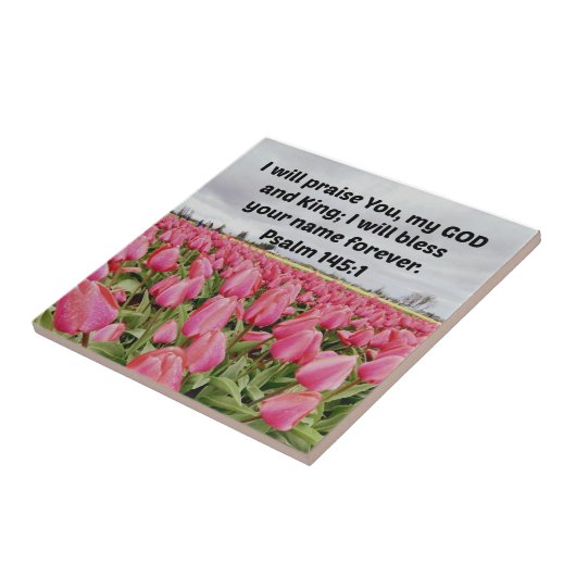 詩篇145:1わたしは神と王よ、あなたをほめたたえよう。 タイル (側面)