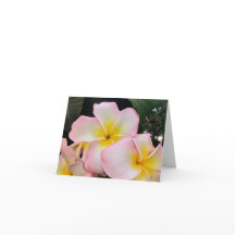 詩篇16:11 ブランクカード