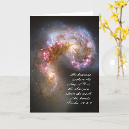 詩篇19 感動的 カード (黄色い花)