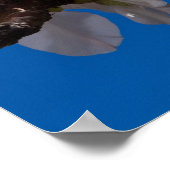 詩篇19:14ポスター ポスター (角)