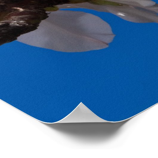 詩篇19:14ポスター ポスター (角)