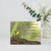 詩篇1 – そして彼は木のように….. ポストカード (スタンド正面)