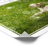 詩篇23主は私の羊飼いの写真 ポスター (角)