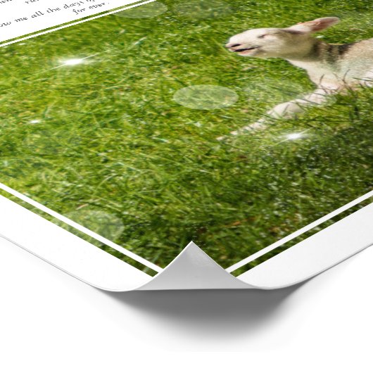 詩篇23主は私の羊飼いの写真 ポスター (角)