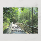 詩篇23:3彼は私の魂を回復し、彼は私を導く ポストカード (正面)