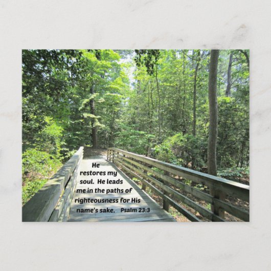 詩篇23:3彼は私の魂を回復し、彼は私を導く ポストカード (正面)