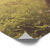 詩篇27:4主なる聖書の願い事 ポスター (角)