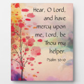 詩篇30時10分粥腫 フォトプラーク (正面)