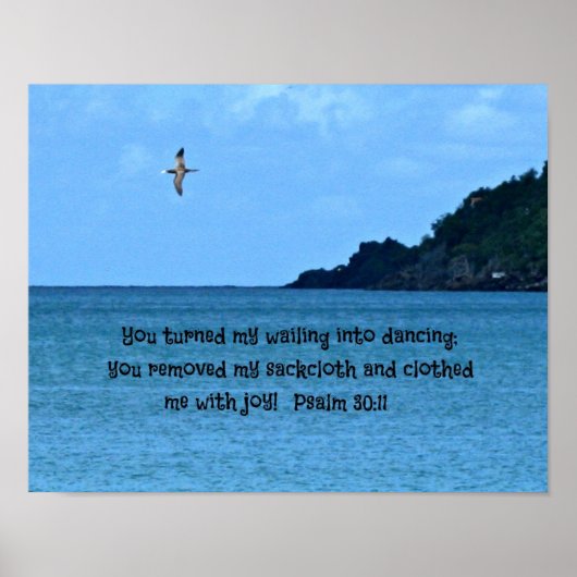 詩篇30:11 ポスター (正面)